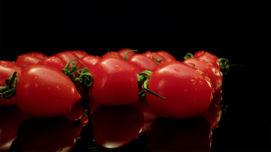 banner 2 image